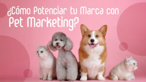 Pet Marketing